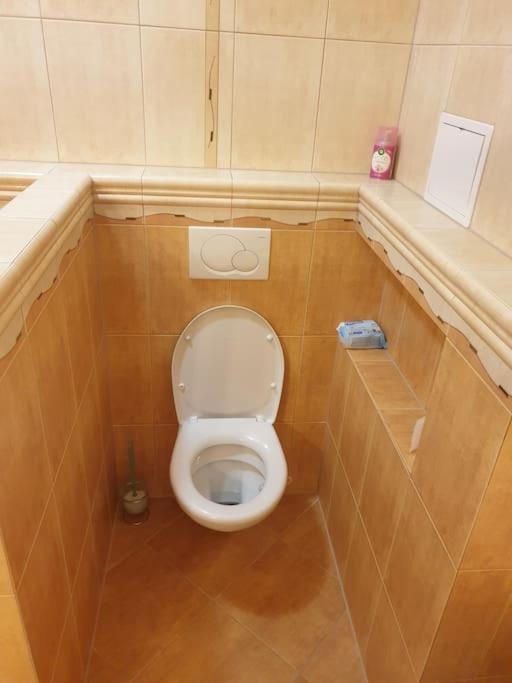 Mezonetovy Apartman V Centre Novej Dubnice Ilava المظهر الخارجي الصورة