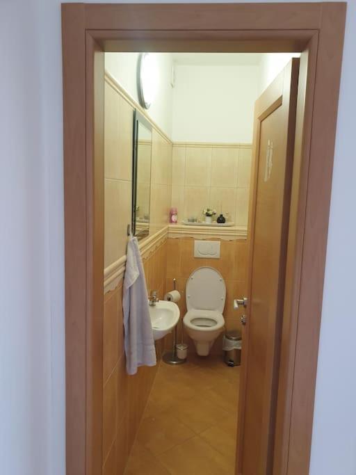Mezonetovy Apartman V Centre Novej Dubnice Ilava المظهر الخارجي الصورة